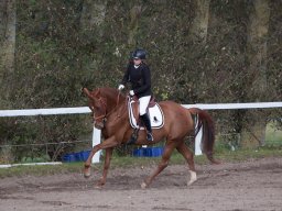 IMG_7856_web